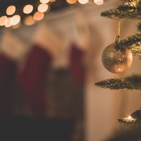 Christmas Feast